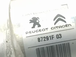 Citroen C4 II Oro kondicionieriaus kita detalė 9819884480