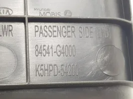 Hyundai i30 Vano portaoggetti 84541G4000