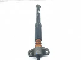 Hyundai i30 Rear shock absorber with coil spring 55310G4AA0