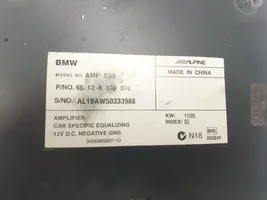 BMW X5 E53 Kiti valdymo blokai/ moduliai 8379376