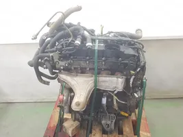 Citroen Jumper Engine 4HY