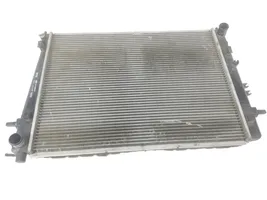 Hyundai Tucson JM Coolant radiator 253102E550