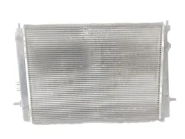 Hyundai Tucson JM Coolant radiator 253102E550