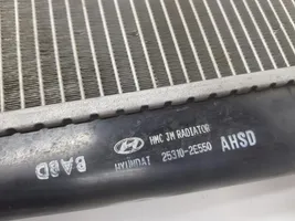 Hyundai Tucson JM Coolant radiator 253102E550