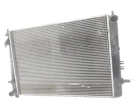 Hyundai Tucson JM Coolant radiator 253102E550