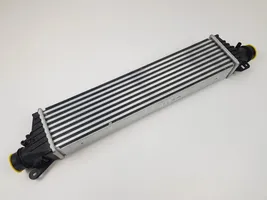 Opel Corsa E Chłodnica powietrza doładowującego / Intercooler 134402061302312