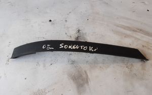 KIA Sorento Modanatura separatore del paraurti anteriore 865813E010