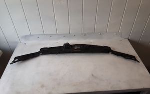 Honda Accord Rivestimento della modanatura della chiusura del vano motore/cofano 71123SEA