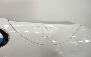 BMW X3 F25 Engine bonnet/hood 