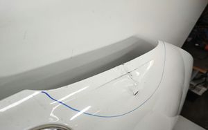 BMW X3 F25 Engine bonnet/hood 