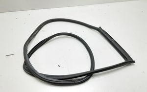 BMW 1 E82 E88 Front door rubber seal 7164948