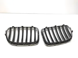 BMW X1 E84 Front bumper upper radiator grill 2993304