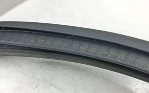 BMW 1 E82 E88 Front door rubber seal 7164993