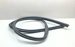 BMW 1 E82 E88 Front door rubber seal 7164993