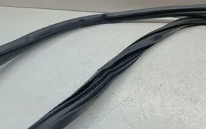 Audi A6 S6 C7 4G Front door rubber seal 