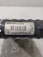 Mercedes-Benz E W211 Aušinimo skysčio radiatorius A2035000603