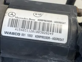 Mercedes-Benz CLS C219 Pneumatinės (oro) pakabos kompresorius 442051263