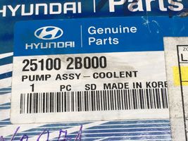 Hyundai Santa Fe Pompe de circulation d'eau 251002B000