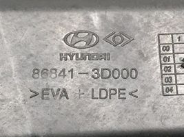 Hyundai Santa Fe Takaroiskeläppä 868413D000