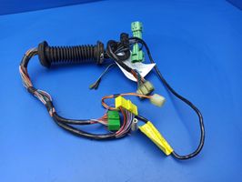 Jaguar XJS Front door wiring loom DAC7442