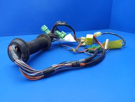 Jaguar XJS Front door wiring loom DAC7442