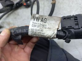 Volkswagen Touareg I Faisceau de câblage pour moteur 03H971610AA