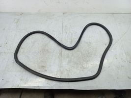 Volkswagen Jetta VI Rear door rubber seal (on body) 5C6867913H