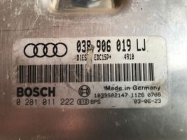 Audi A4 S4 B6 8E 8H Sterownik / Moduł ECU 038906019LJ