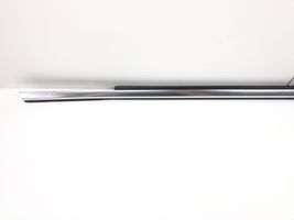 Audi Q7 4M Rear door trim (molding) 17760F