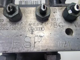 Audi A6 S6 C6 4F ABS Blokas 4F0614517BG