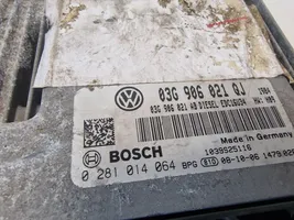 Volkswagen Golf V Sterownik / Moduł ECU 03G906021QJ