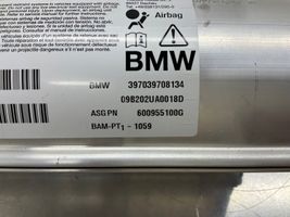BMW 5 E60 E61 Keleivio oro pagalvė 600955100G