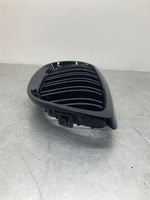 BMW 3 E92 E93 Front grill 