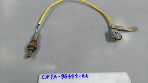 Ford Ecosport Sensore della sonda Lambda CN1A9G444AA