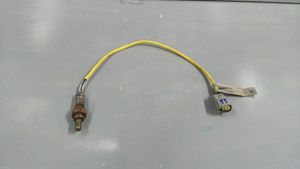 Ford Ecosport Sonda lambda CN1A9G444AA