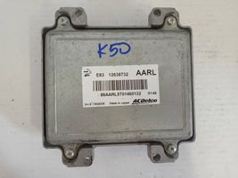 Opel Meriva B Блок управления двигателем ECU 12638732