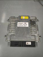 Hyundai i30 Centralina/modulo motore ECU 391982GPA0