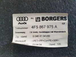 Audi A6 S6 C6 4F Pagrindinis apdailos skydas 4F5867975A