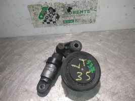 Volkswagen II LT Generator/alternator belt tensioner 