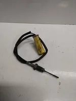 Citroen C6 Abgastemperatursensor 9666046880