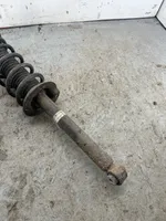 Honda Accord Front shock absorber with coil spring 