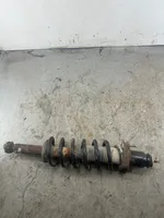 Dodge Journey Rear shock absorber with coil spring 