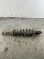 Dodge Journey Rear shock absorber with coil spring 