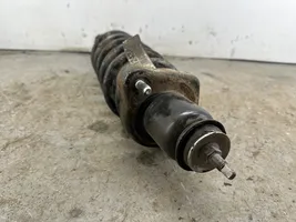 Dodge Journey Rear shock absorber with coil spring 