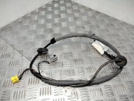 Volvo S80 Loading door wiring loom D9162551009