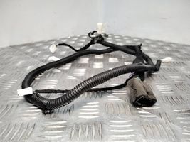 Chevrolet Captiva Tailgate/trunk wiring harness F1025267
