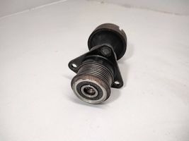 Ford Mondeo MK IV Puleggia dell’alternatore F23360803