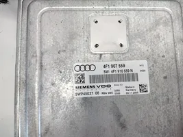 Audi A6 S6 C6 4F Calculateur moteur ECU 4F1907559