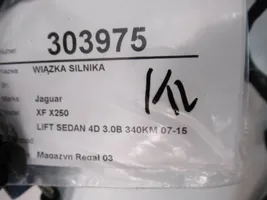 Jaguar XF Wiązka przewodów silnika EX53-12B559