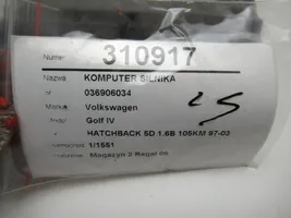 Volkswagen Golf IV Komputer / Sterownik ECU silnika 036906034